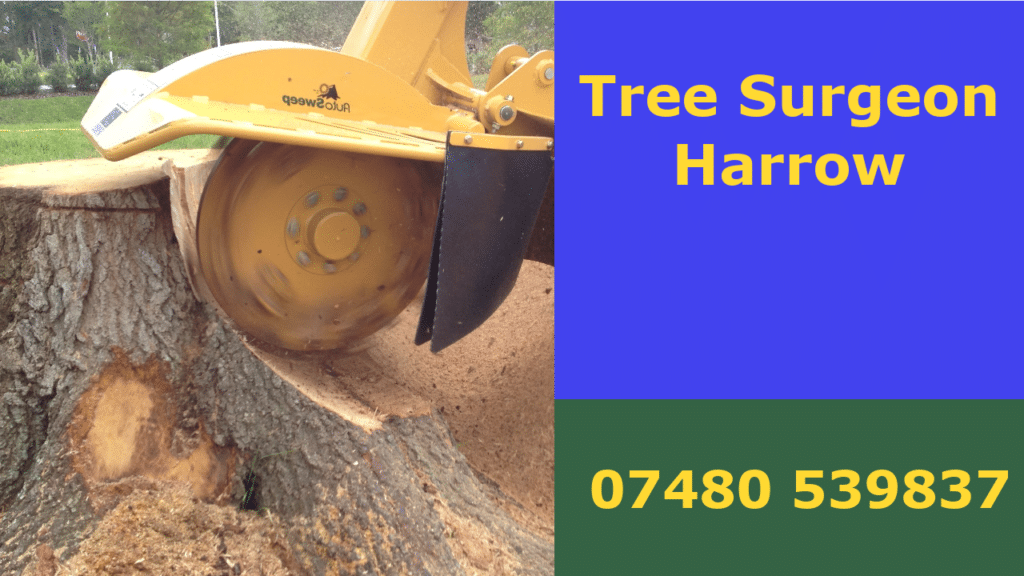 Tree Surgeons in Wimbledon Park Commercial & Residential Tree Pruning